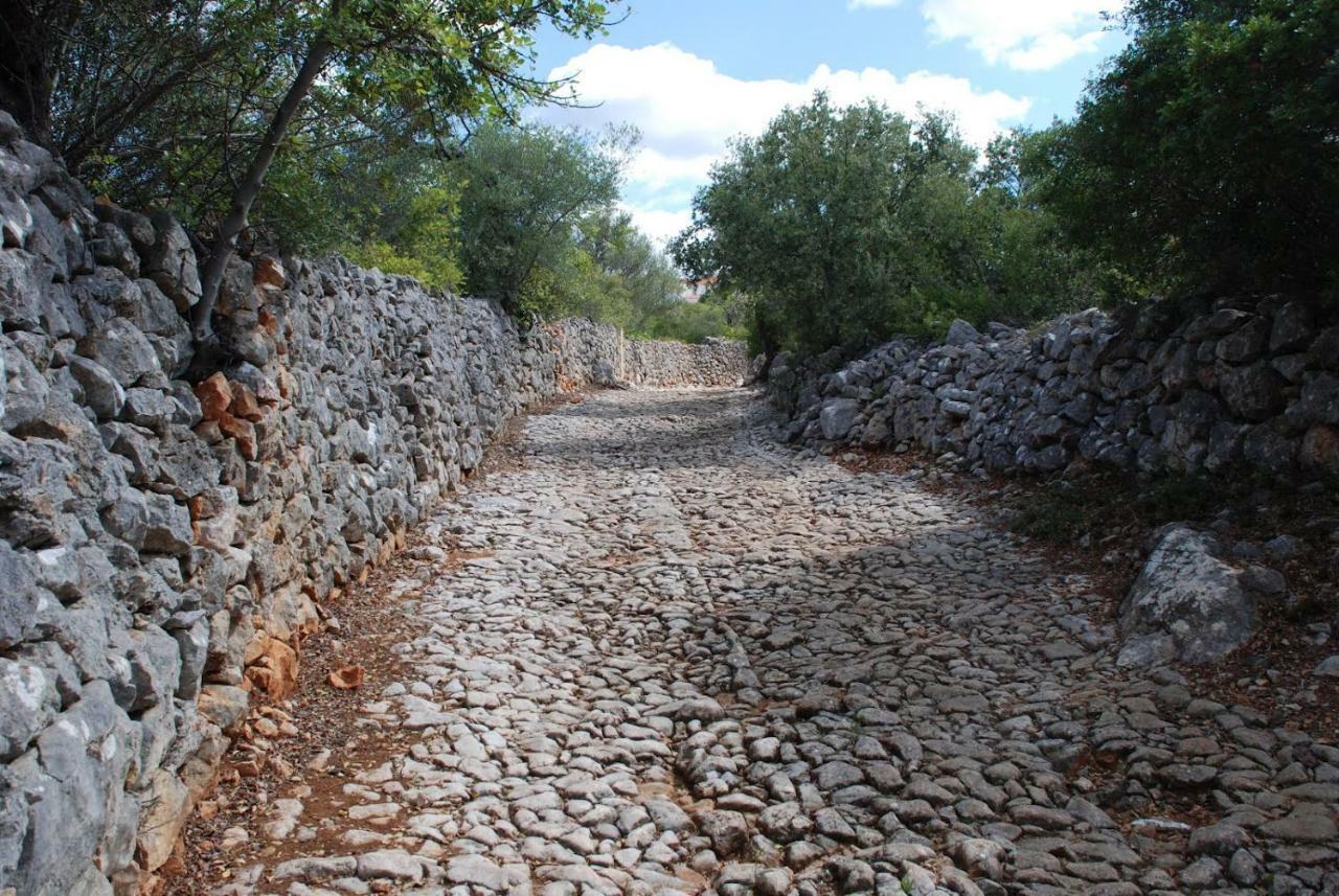 São Brás de AlportelFlat In The Heart Of Algarve公寓 外观 照片